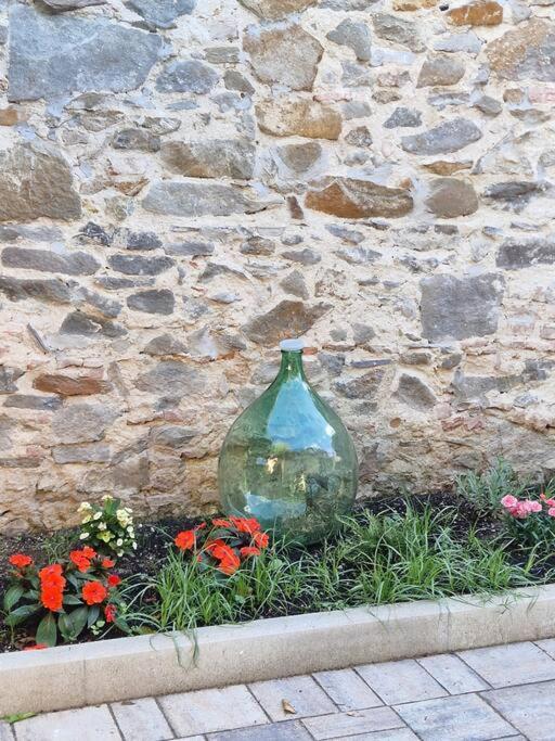 Serra Di Mare Casa Con Giardino Villa Livorno Dış mekan fotoğraf