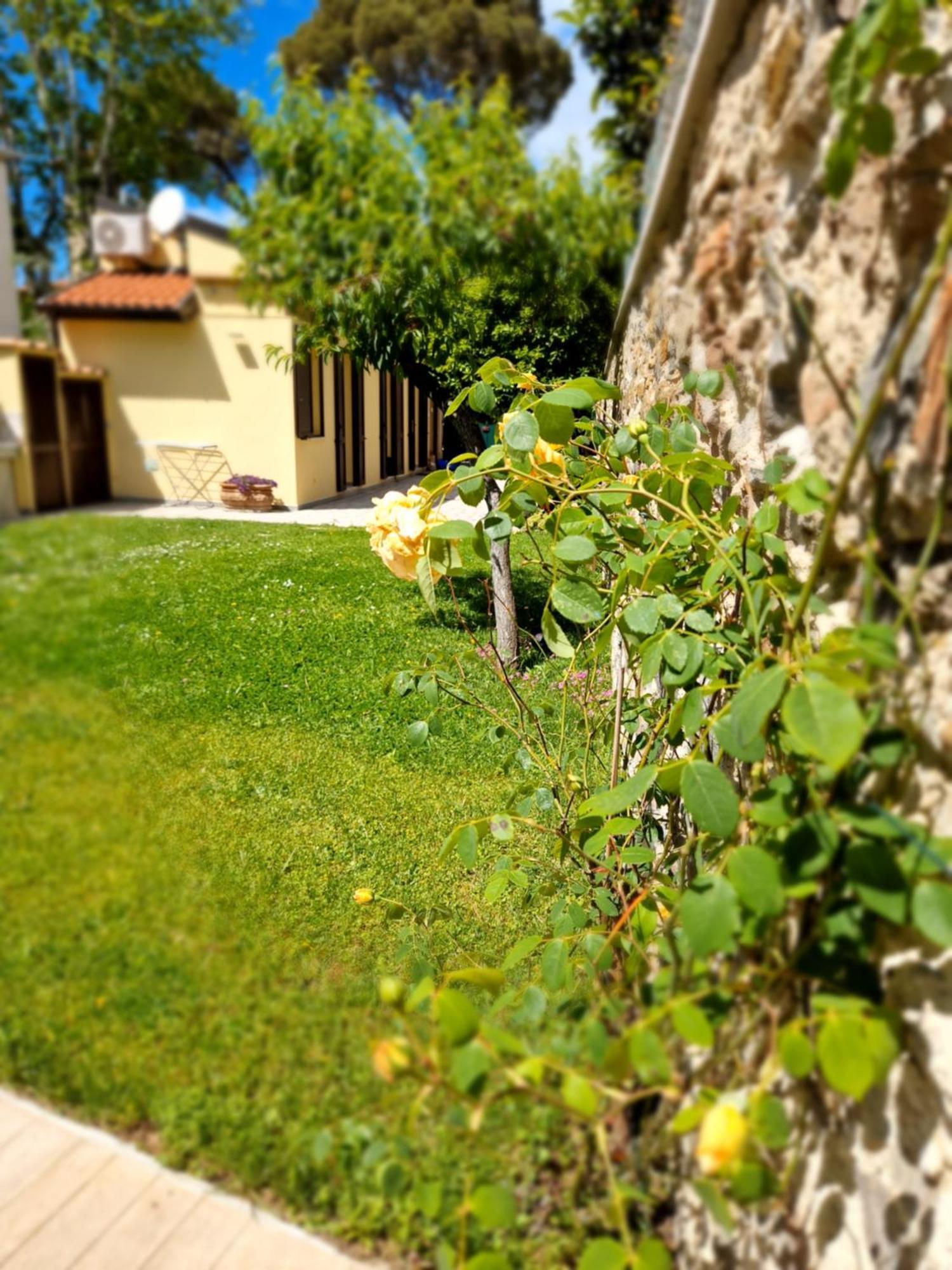 Serra Di Mare Casa Con Giardino Villa Livorno Dış mekan fotoğraf